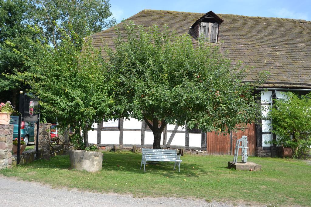 Tonenburg Hotel Hoexter Exterior photo